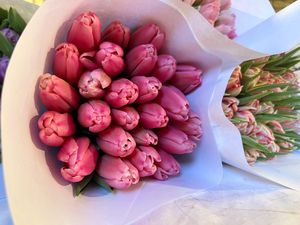 Тюльпаны оптом в Брянске